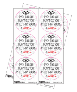 Sticker Pack - Even Though I Cant See You I Still Think You're A Wanker CRU18-23R-11059