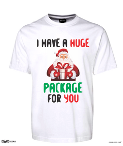 I Have A Huge Package For You Christmas Santa T-shirt CRU01-1HT-24034